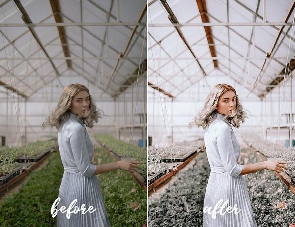 12 MOBILE LIGHTROOM PRESETS SANDS