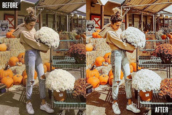 10 HALLOWEEN MOBILE LIGHTROOM PRESETS