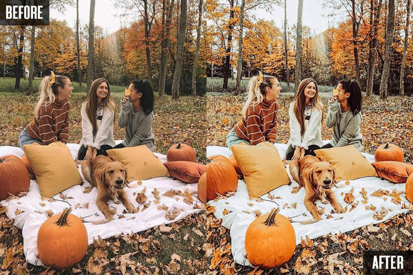 10 HALLOWEEN MOBILE LIGHTROOM PRESETS