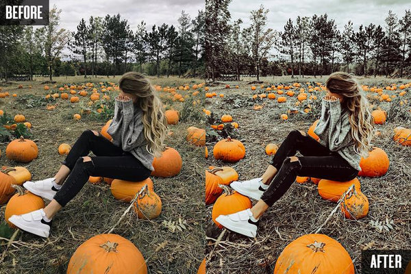10 HALLOWEEN MOBILE LIGHTROOM PRESETS